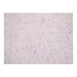 Жидкие обои Absolute Лп743 гр Silkplaster А205