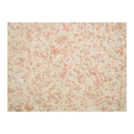 Жидкие обои Absolute Цвет кс молоком 743 гр Silkplaster А209