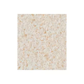 Декоративная штукатурка Paritet Базовое покрытие №3 (золотистое; 1 кг) PDLW-B41, изображение 2