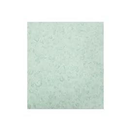 Декоративная штукатурка Paritet Базовое покрытие №4 (мятный; 1 кг) PDLW-B42, изображение 2