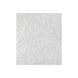 Декоративная штукатурка Paritet Гладкое покрытие №14 (шелк; белый; 1 кг) PDLW -B14, изображение 2