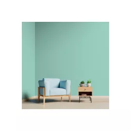 Декоративная штукатурка Paritet Гладкое покрытие №17 (шелк; мятный; 1 кг) PDLW-B17