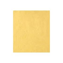 Декоративная штукатурка Paritet Гладкое покрытие №15 (шелк; желто-песочный; 1 кг) PDLW-B15, изображение 2