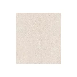 Декоративная штукатурка Paritet Текстурное покрытие №38 (миндальный; 1 кг) PDLW-B38, изображение 2