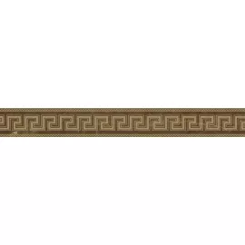 Бордюр 262563 Emote Fascia Pulpis Marrone 10x78 Versace