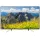 LED телевизор 4K Ultra HD Sony KD-49XF7596