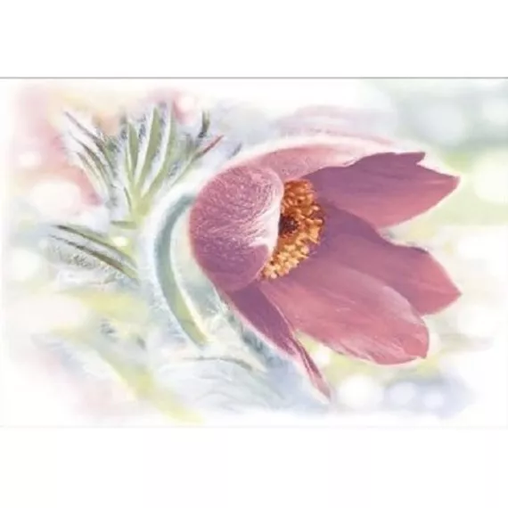 Плитка керамическая Уралкерамика ВС7ЛЛ005 Лила 364х249 мм