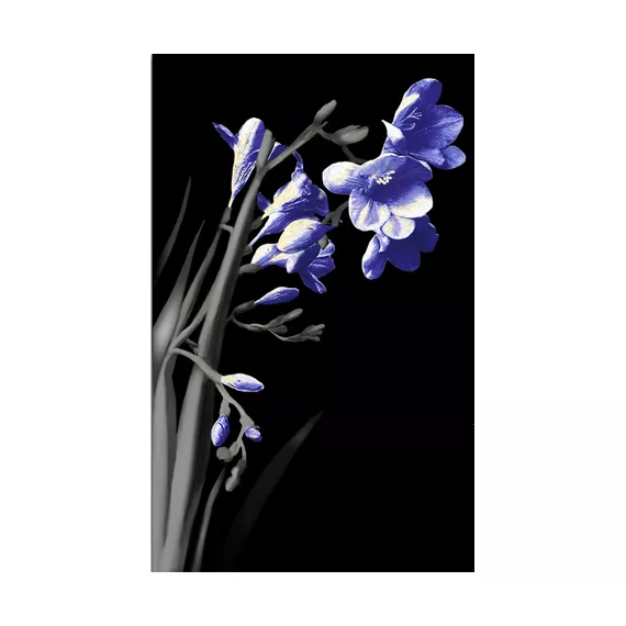 Spring czarny 2 centro Декор 25х40