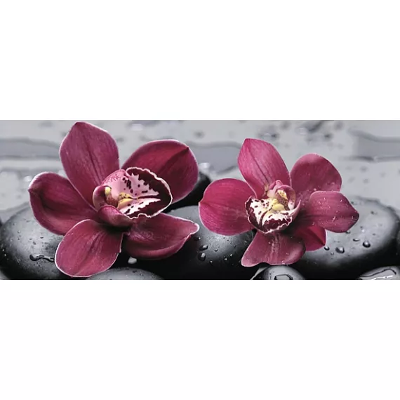 City Orchid Centro Декор 20x50