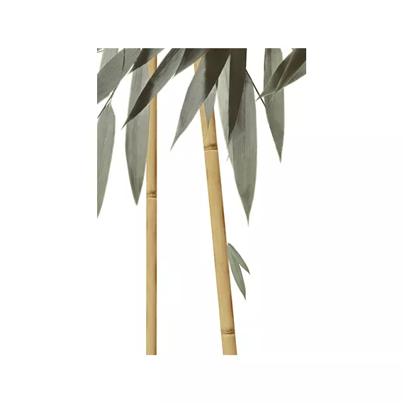 Бамбук ВС7БМ024 Декор 24,9х36,4