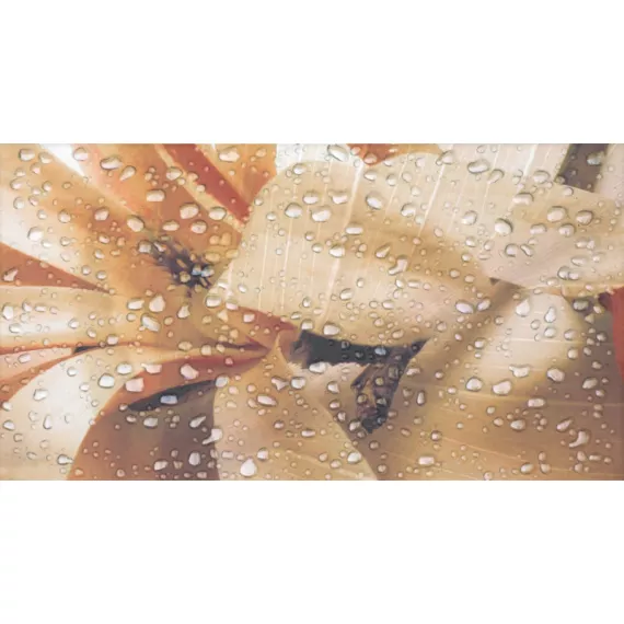 Dec Ocean Crema B Декор 32,5x60