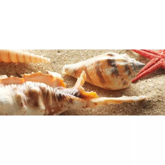 Сиерра 3 Декор тип 2 20х50