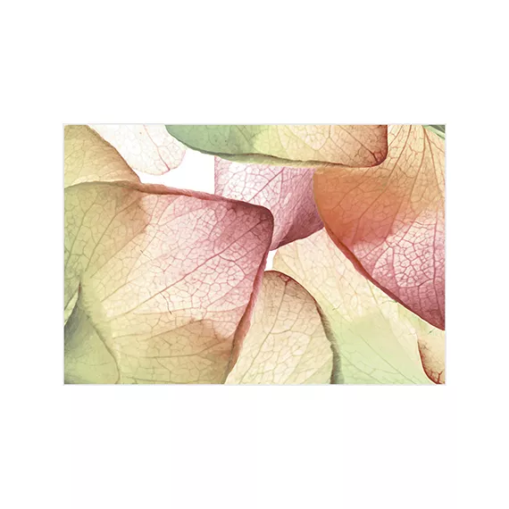 Рефлекс Ультра Декор ВС7РУ125 36,4х24,9