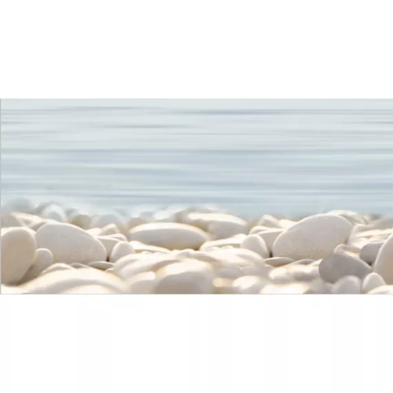 Дель маре Декор ВС9ДМ604 24,9х50