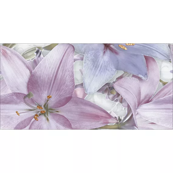 Элис Декор ВС9ЭЛ003 50х24,9