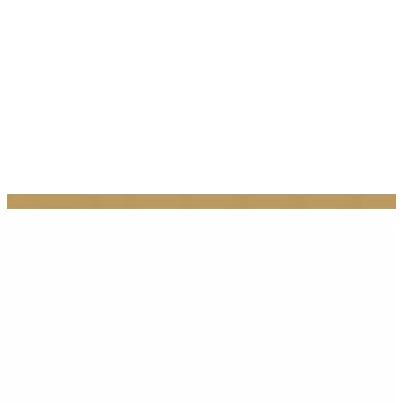 Glass border gold 600х20 мм - 36 шт