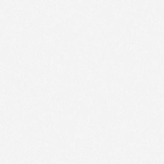 CF 101 (белый) 60х60 полированный