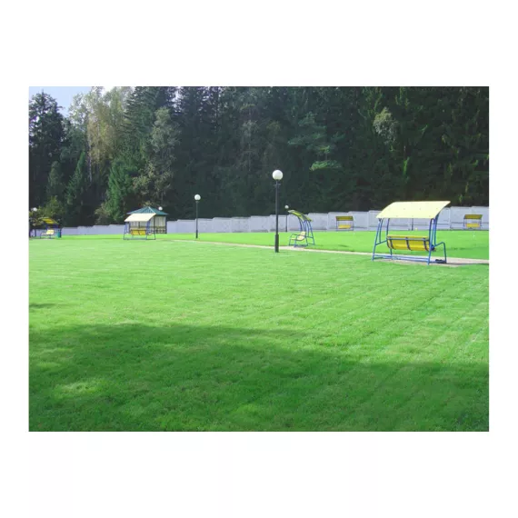 Семена газона TM SORTLINE Смесь трав Универсальная 20 кг 4620766500376, изображение 2