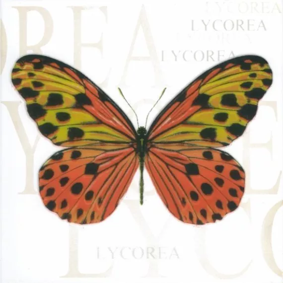 Декор настенный Сан-Ремо Бабочка 200x200 белый Л тип 5, изображение 2