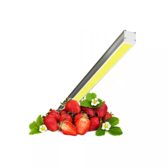 Фитосветильник Протон светодиодный ФИТО-Спектр полноспектральный (для полной замены солнечного света) SSO-220/16-05.2(FGL-GP), изображение 2