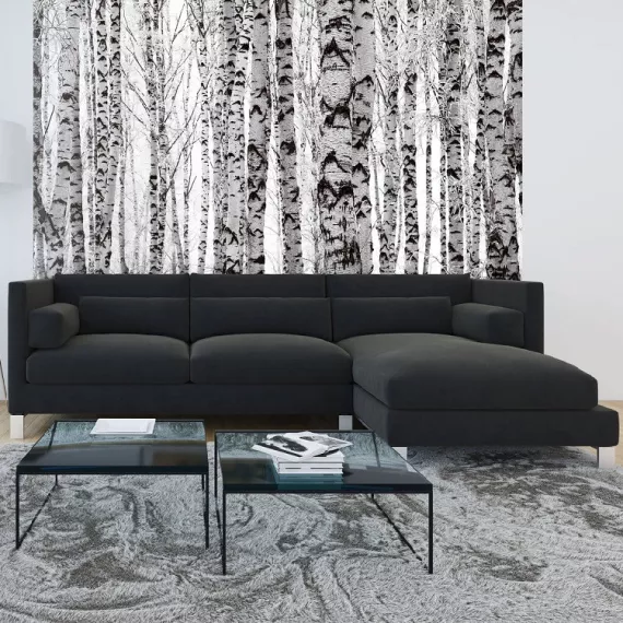 Фотообои виниловые на флизелиновой основе Decocode Белые березы 31-0414-PB 3х2,8 м, изображение 2