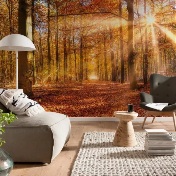 Фотообои бумажные Komar Золотой рассвет 8-997 3,68х2,54 м, изображение 2