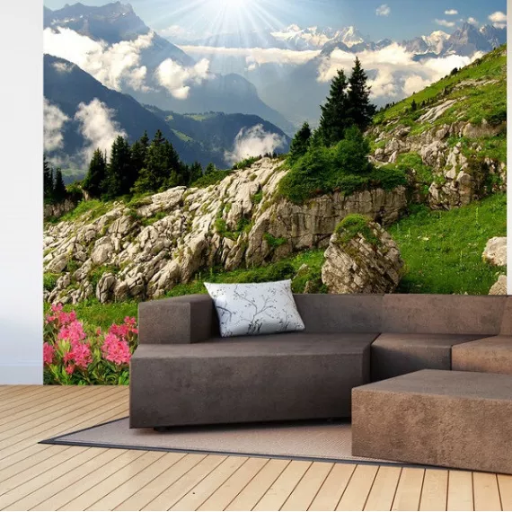 Фотообои виниловые на флизелиновой основе Decocode Альпийский луг 26-0509-PG 2,6х2,5 м, изображение 2