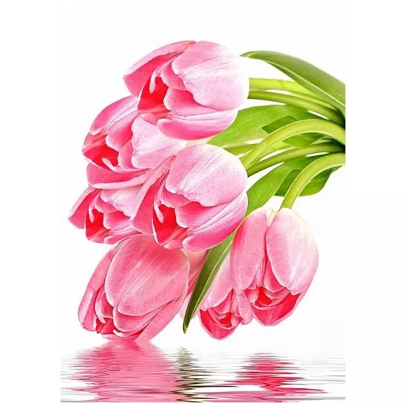 Фотообои виниловые на флизелиновой основе Decocode Тюльпаны над водой 21-0013-FW 2х2,8 м