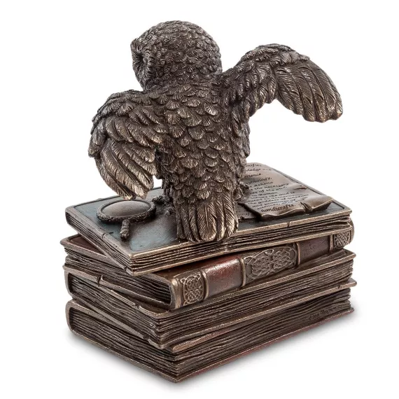 Шкатулка Мудрая сова Veronese, изображение 2