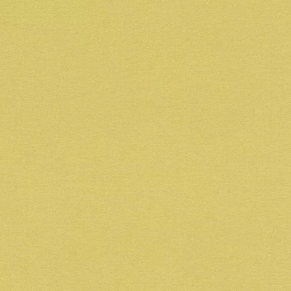 Виниловые обои на флизелине Rasch Florentine 2 449839