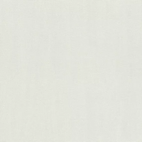 Виниловые обои на флизелине Rasch Hyde Park. 411867