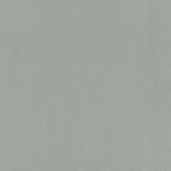 Виниловые обои на флизелине Rasch Hyde Park. 411966