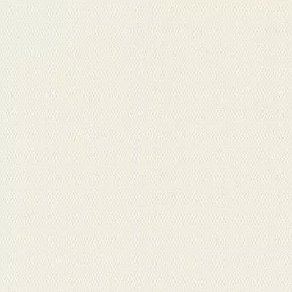 Виниловые обои на флизелине Rasch Poetry 424010