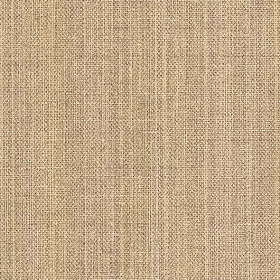 Виниловые обои на флизелине Sirpi AltaGamma Vision 18242