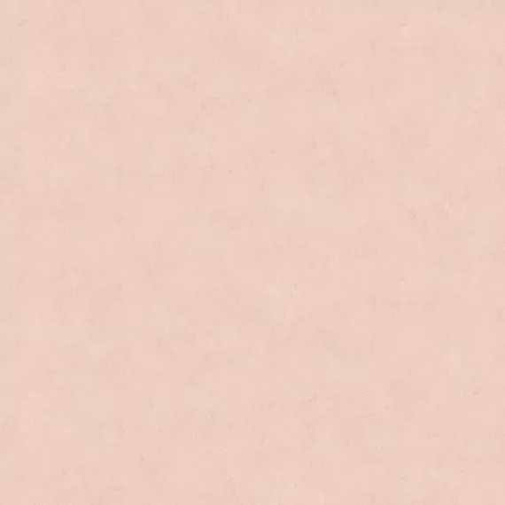 Виниловые обои на флизелине A.S.Creation Podium 37645-2