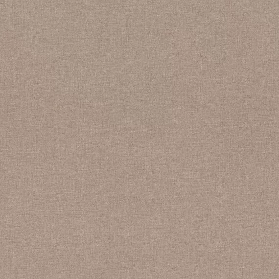 Виниловые обои на флизелине Rasch Blend 961959
