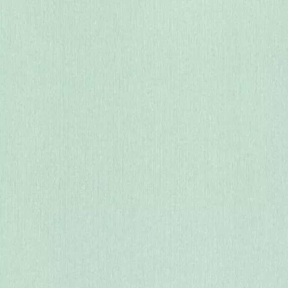 Виниловые обои на флизелине Rasch Barbara XL 800500