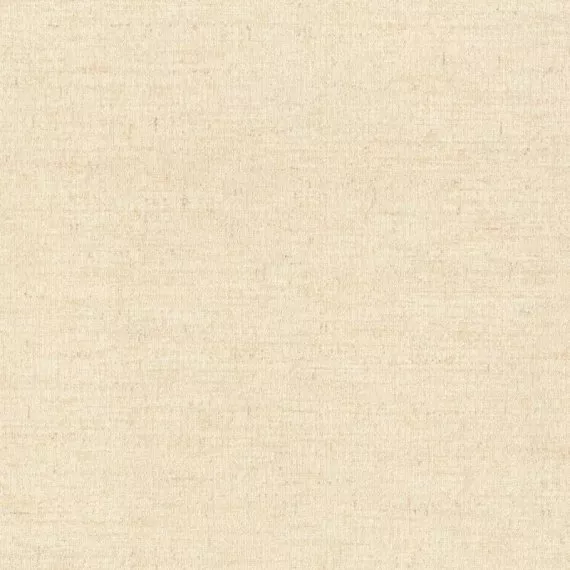 Виниловые обои на флизелине Rasch Maximum XVI 915945